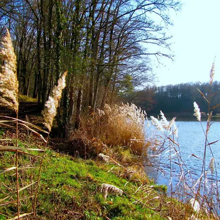 Presbytere ベッド・アンド・ブレックファスト Sauville