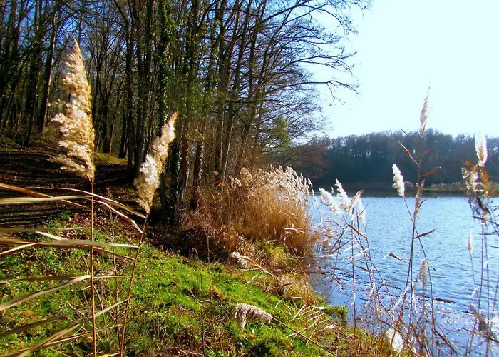 Presbytere Bed & Breakfast Sauville (Vosges)