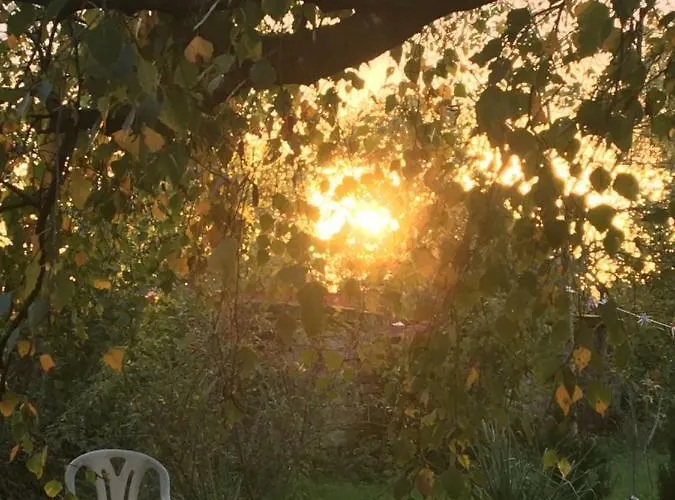 Presbytere Bed & Breakfast